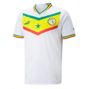 Senegal Hjemmedrakt VM 2022 Kortermet